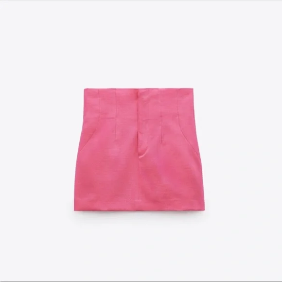 Zara Mini Skirt with Darts - Picture 6 of 8